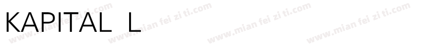 KAPITAL Light字体转换